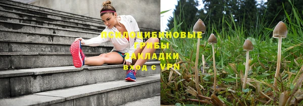 дживик Осташков