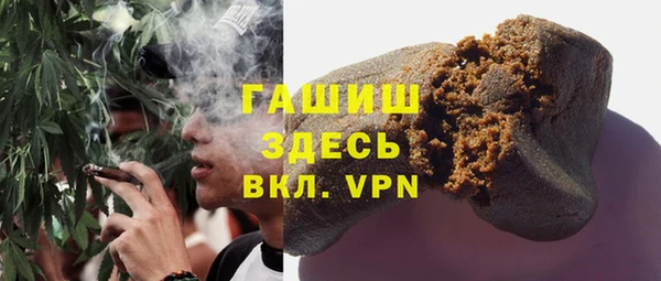 стаф Гусь-Хрустальный