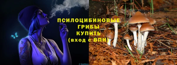 бошки Майский