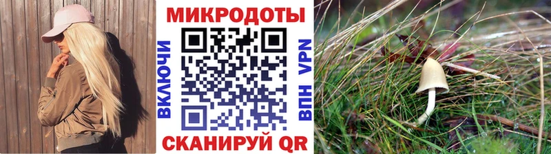 Псилоцибиновые грибы Magic Shrooms  Одинцово 