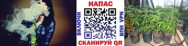 Канабис планчик Одинцово